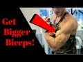 How To Get Bigger Biceps (Hit Both Heads)