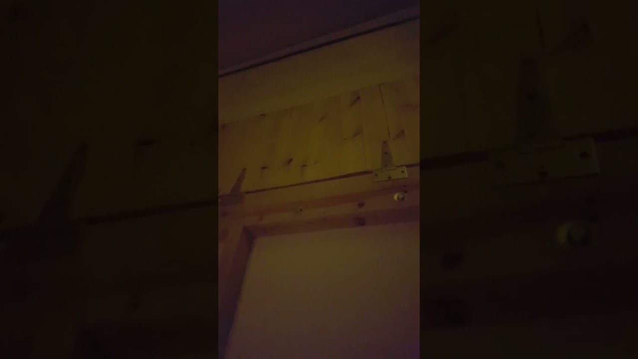 Custom Loft Bed with "trap door" entrance