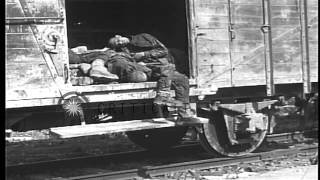Dead And Mutilated Prisoners At Dachau Concentration Camp In Bavaria, Germany. Hd Stock Footage
