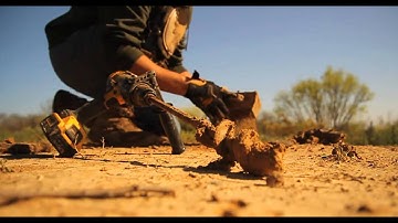 Step By Step Dirt Hole Set For Coyote Trapping- The Management Advantage #69