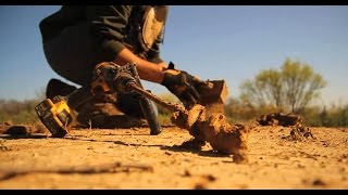 Step By Step Dirt Hole Set For Coyote Trapping- The Management Advantage #69