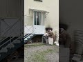 19 ноября 2025 г.