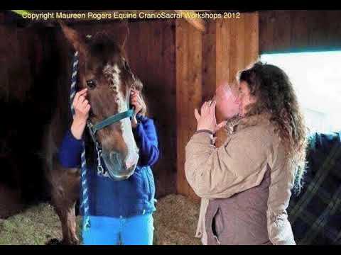 589: Maureen Rogers - Equine CranioSacral Workshops