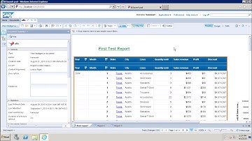 SAP Webi - Application Modes