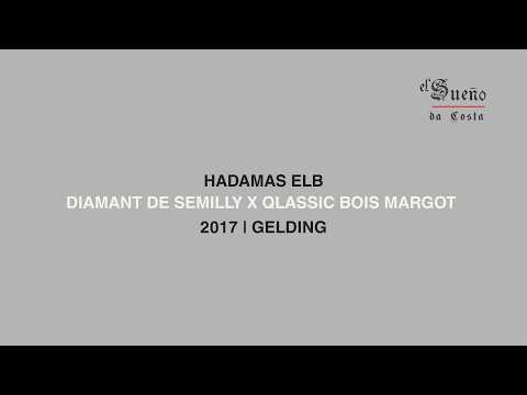 HADAMAS ELB