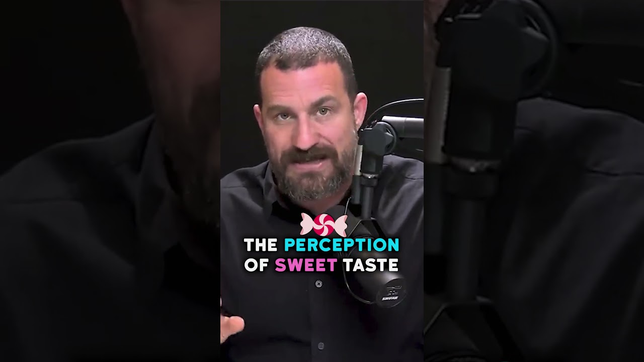 How to AVOID sugar intake! 🚫🍰 | Andrew Huberman