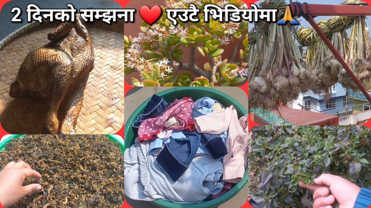 कहिलेकाहीँ भिडियो देखाउनका लागि होइन, सम्झना जोगाउनका लागि बनाइन्छ ❤️