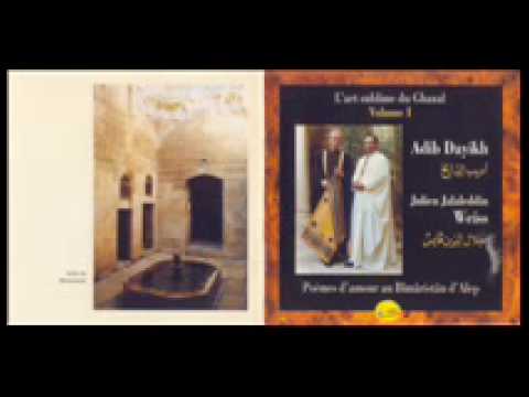 استخبر الشمس عنكم أديب الدايخ