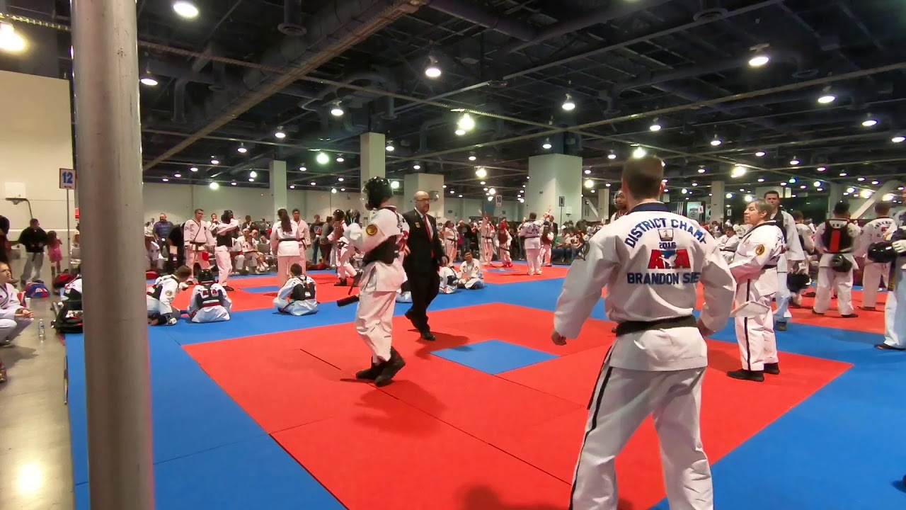 ATA Spring Nationals 2018 Men’s Black Belt Combat Sparring [3rd Place