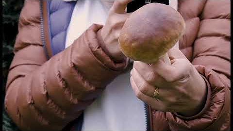 Short-Deep Focus - Music For Studying, Concentration and Work-part2