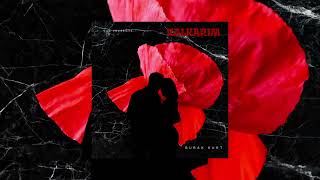 Burak Kurt - Kalkarım