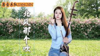 二胡Erhu【BeiFengNaGeChui北風那個吹】 Cover by Peiyao  | 二胡Erhu 竹笛Dizi 古箏Guzheng Tangyin Chinese Music【唐音樂隊】