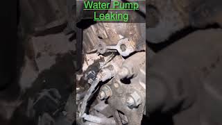 Camry v6 water pump leak #youtubeshorts