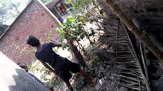 poppy chor Anish,Sai,Ritvik,Bavesh(2)