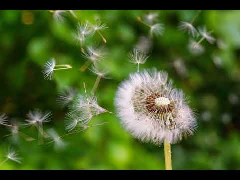 내 손은 바람을 그려요(반주)