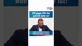 SPD gegen SPD-Ziel, weil AfD dafür ist