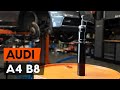 Как заменить стойку амортизатора передней подвески на Audi A4 B8 Седан [TUTORIAL AUTODOC]