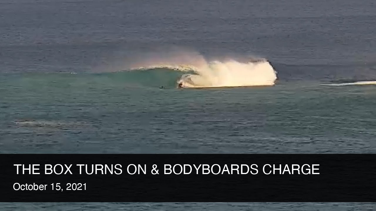 Clips
