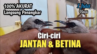 Perbedaan Trucukan JANTAN dan BETINA Sangat AKURAT