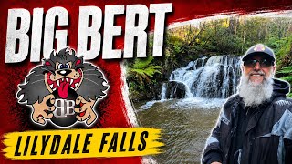 Lilydale Falls