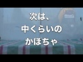 かぼちゃのドガシャーン動画