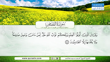 سورة القصص | تلاوة مباركة من الآية 76 إلى الآية 83 | بصوت القارئ الشيخ أحمد سيد هاشم