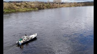 Spring Salmon fishing at Fishponds on the river Tay 29th March 2024