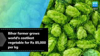 Bihar farmer grows world's costliest vegetable for Rs 85,000 per kg screenshot 1