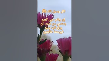 #قال رسول الله ﷺ #قرآن #اذكار #لايك #ترند #اكسبلور #اسلاميات #islamicvideo #reels