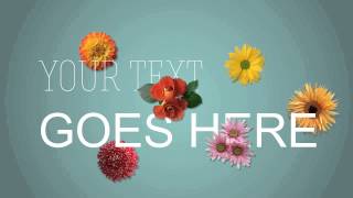 After Effects Flowers Template