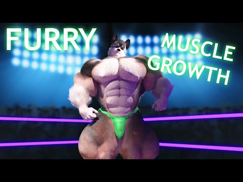 In The Ring - Muscle Furry Growth Animation