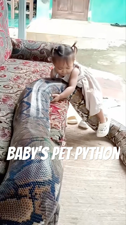 Comment your thoughts 💭