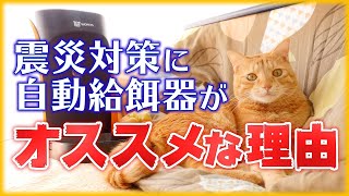 1度使ったら辞められない自動給餌器のメリット・デメリットと災害対策にオススメの理由
