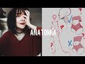 CÓMO DIBUJAR ANATOMÍA | Los mejores consejos