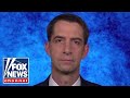 Cotton: Biden pulling biggest 'bait and switch' move in American politics