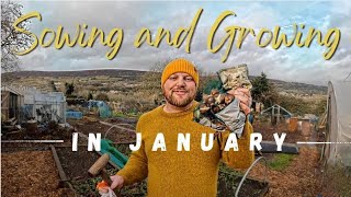 Sowing and Growing in January