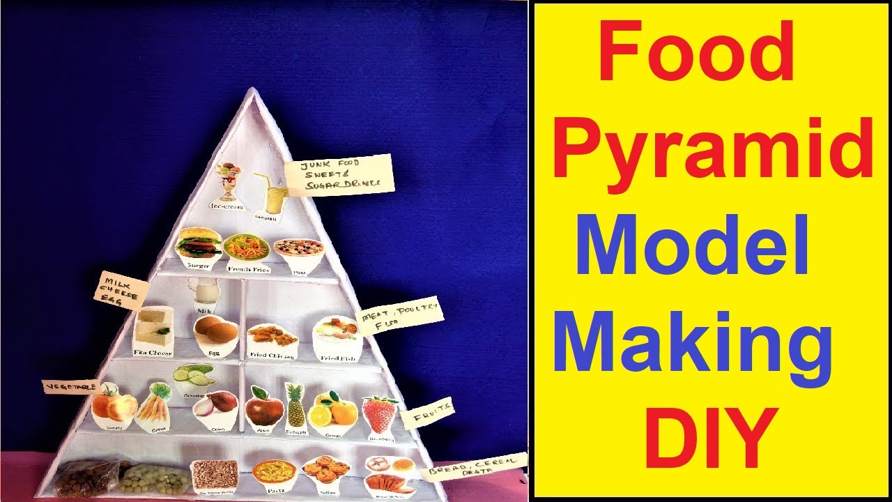 Food pyramid science project model - Free Science | Maths | English |  Physics | Computer | Geography | Chemistry Projects DIY for Exhibitions or  Fair