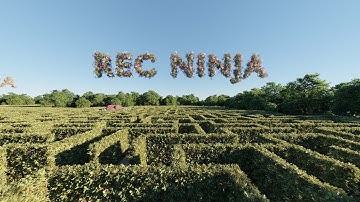 Flight Inside A Huge Maze, Blender Animation, Geo-Scatter, Gardener, Addon