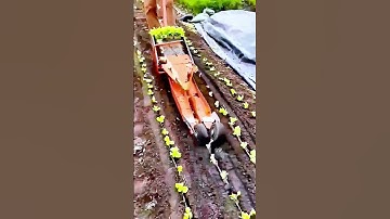 The process of growing vegetables = good tools and methods can improve efficiency