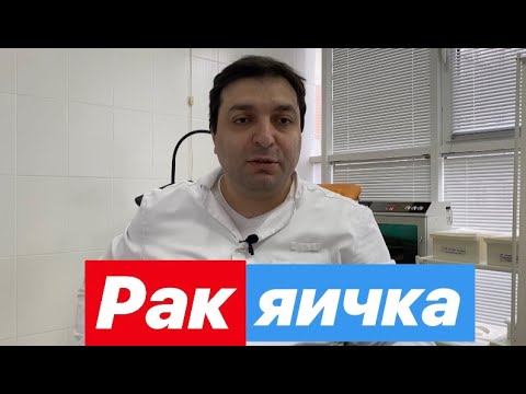 Рак яичка. Кратко и доступно рассказывает врач-уролог.