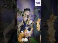 NEATMOA Navia Cosplay | Graceful Dance &amp; Detailed Costume Reveal 🎀#原神 #naviacosplay