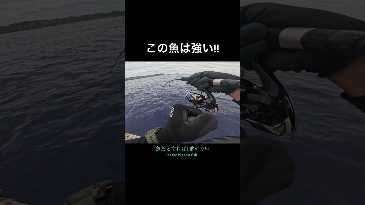 サイズのわりに強い!! #釣り #小笠原 #ジギング#fishing