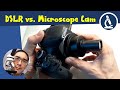 🔬 Usability considerations of microscope cameras (DSLR vs dedicated cameras) | Amateur Microscopy