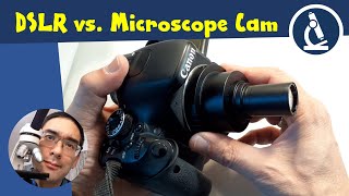 🔬 Usability considerations of microscope cameras (DSLR vs dedicated cameras) | Amateur Microscopy