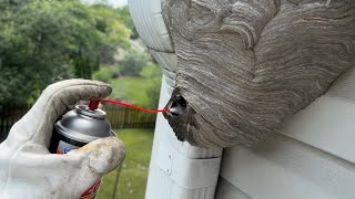 Brake clean vs hornet nest (fastest working product) could this be better then raid