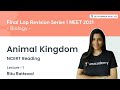 Animal Kingdom | Lec 1 | NCERT Reading | Final Lap Revision for NEET 2021 | Ritu Rattewal