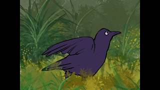 Bird Takeoff ANIMATION PROCESS TIME LAPSE