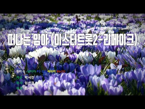 [은성 반주기] 떠나는임아(미스터트롯2-리메이크) - 박서진