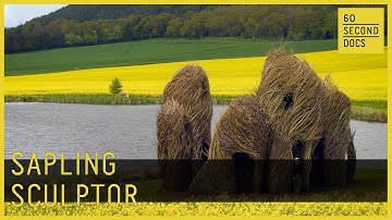Patrick Dougherty’s Giant Stick Sculptures