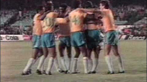 Copa América 1989: Brasil 2x0 Argentina
